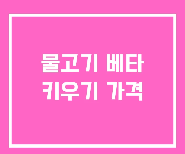 물고기 베타 키우기 가격