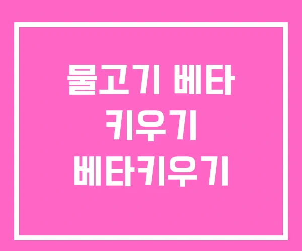 물고기 베타 키우기 베타키우기