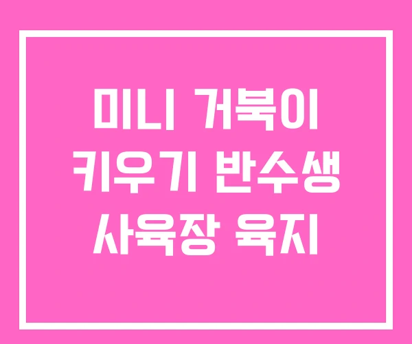 미니 거북이 키우기 반수생 사육장 육지 미니 거북이 키우기 반수생 사육장 육지