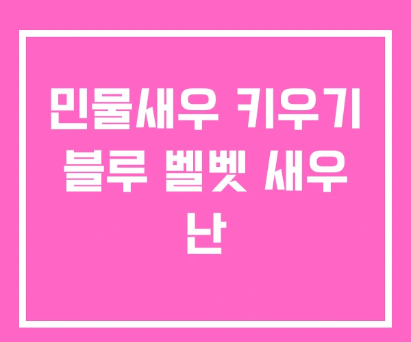 민물새우 키우기 블루 벨벳 새우 난