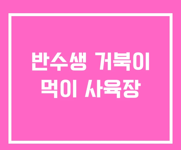 반수생 거북이 먹이 사육장