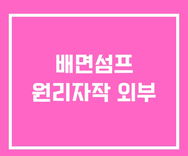 배면섬프 원리자작 외부