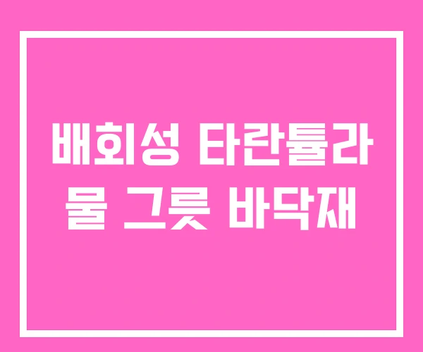 배회성 타란튤라 물 그릇 바닥재