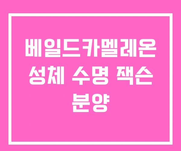 베일드카멜레온 성체 수명 잭슨 분양