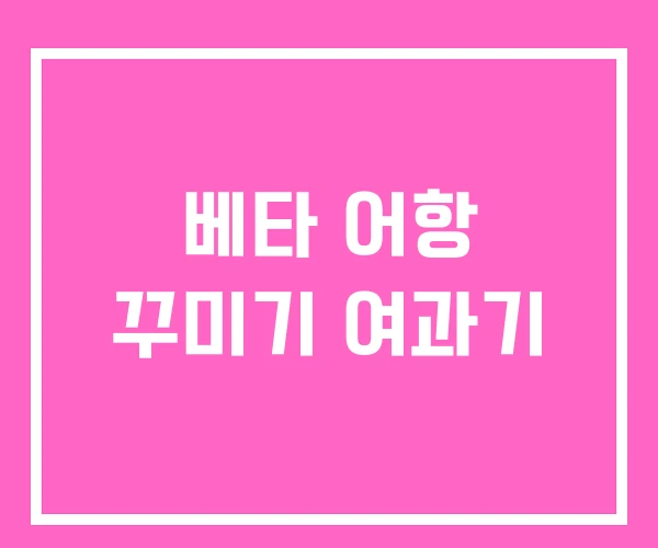 베타 어항 꾸미기 여과기