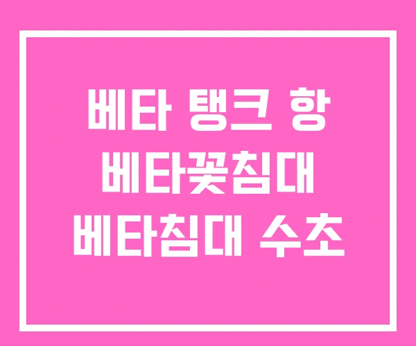 베타 탱크 항 베타꽃침대 베타침대 수초