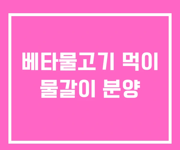 베타물고기 먹이 물갈이 분양