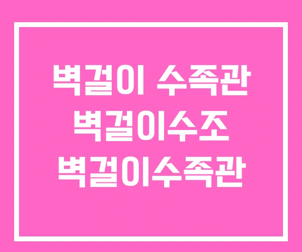 벽걸이 수족관 벽걸이수조 벽걸이수족관