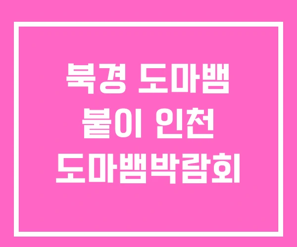 북경 도마뱀 붙이 인천 도마뱀박람회