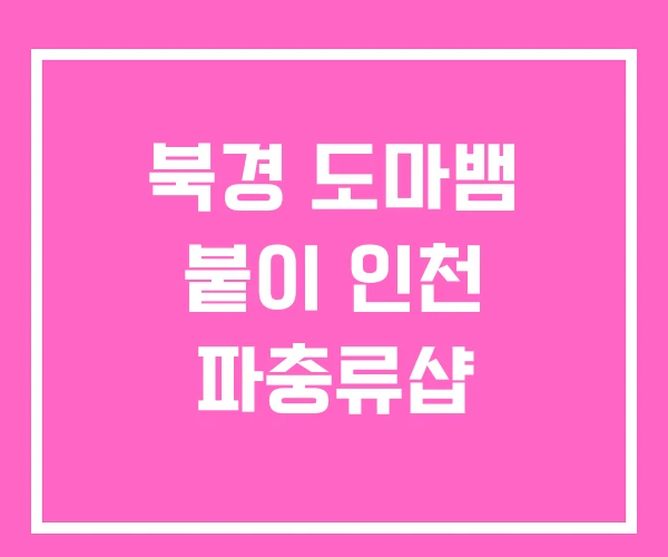 북경 도마뱀 붙이 인천 파충류샵