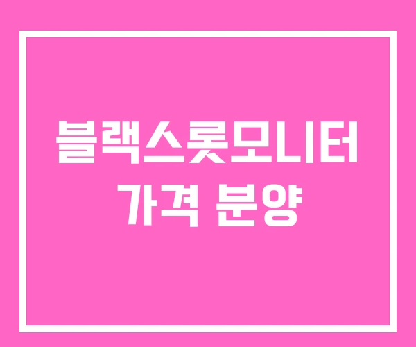 블랙스롯모니터 가격 분양