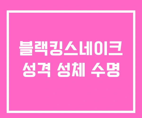 블랙킹스네이크 성격 성체 수명