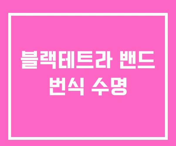 블랙테트라 밴드 번식 수명