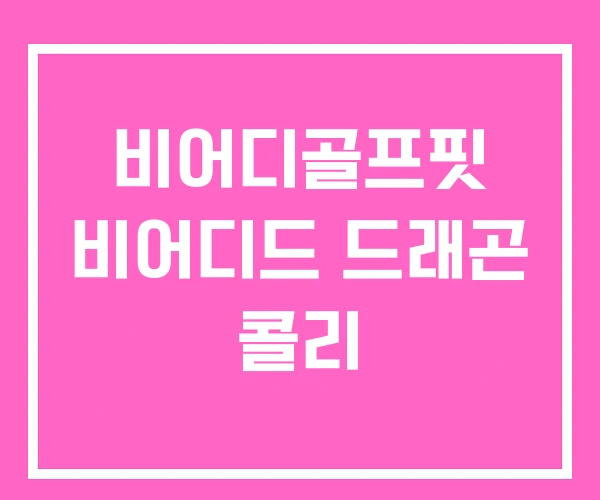 비어디골프핏 비어디드 드래곤 콜리