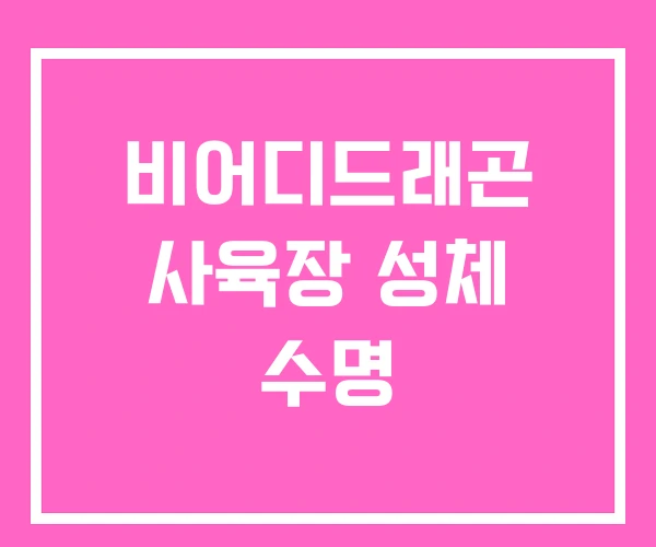 비어디드래곤 사육장 성체 수명