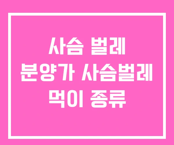 사슴 벌레 분양가 사슴벌레 먹이 종류