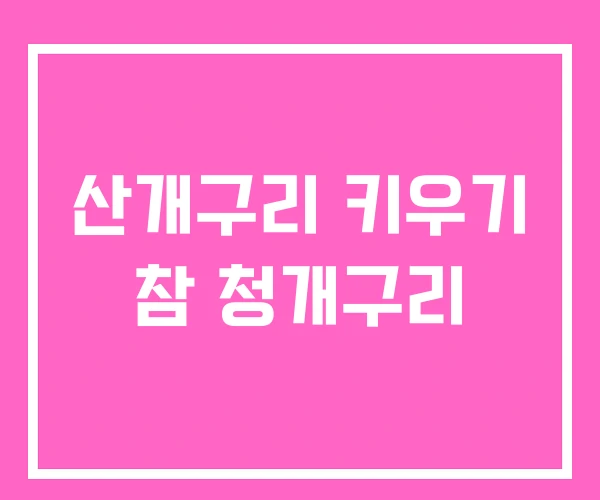 산개구리 키우기 참 청개구리