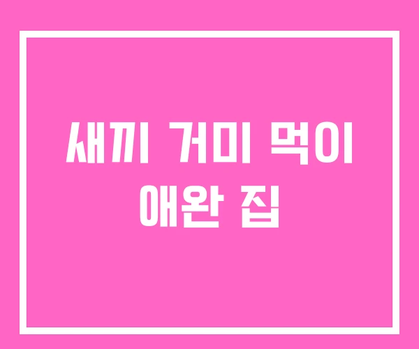 새끼 거미 먹이 애완 집