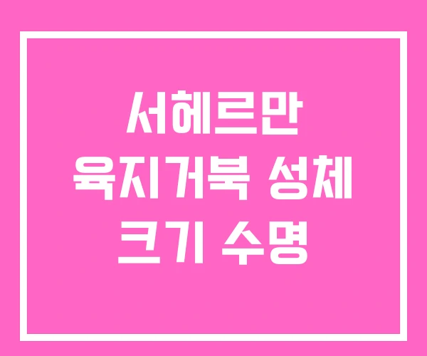 서헤르만 육지거북 성체 크기 수명
