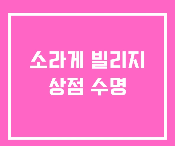 소라게 빌리지 상점 수명