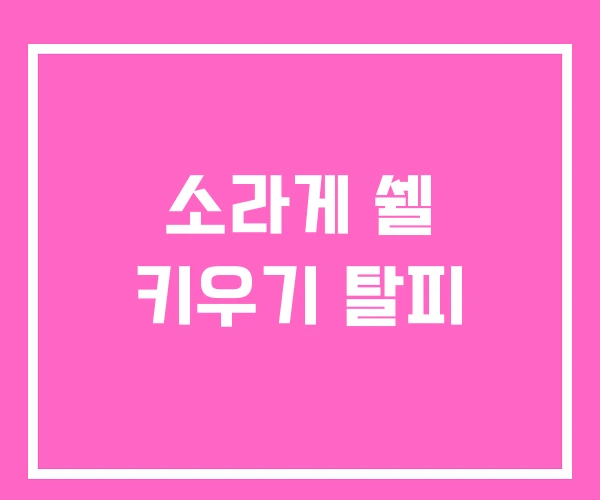 소라게 쉘 키우기 탈피