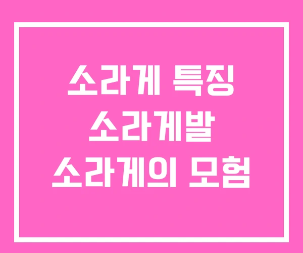 소라게 특징 소라게발 소라게의 모험