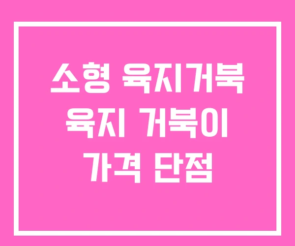 소형 육지거북 육지 거북이 가격 단점