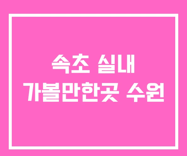 속초 실내 가볼만한곳 수원