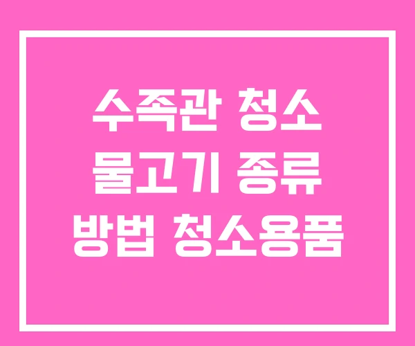 수족관 청소 물고기 종류 방법 청소용품