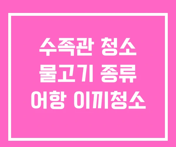 수족관 청소 물고기 종류 어항 이끼청소