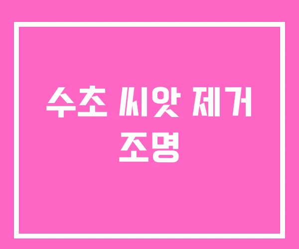 수초 씨앗 제거 조명 수초 씨앗 제거 조명