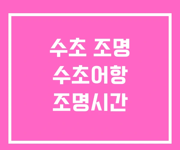 수초 조명 수초어항 조명시간