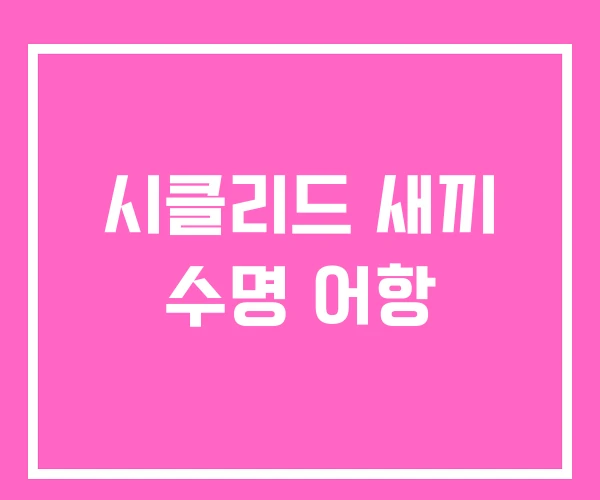 시클리드 새끼 수명 어항