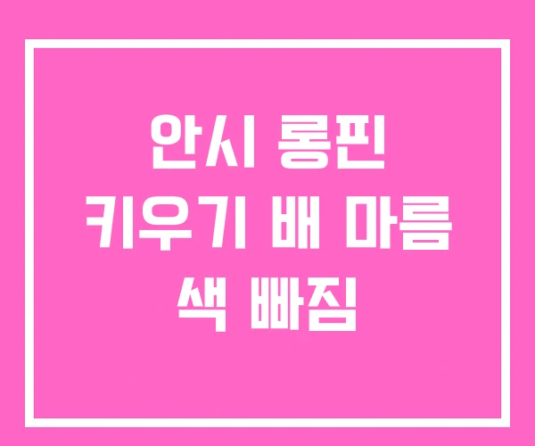 안시 롱핀 키우기 배 마름 색 빠짐