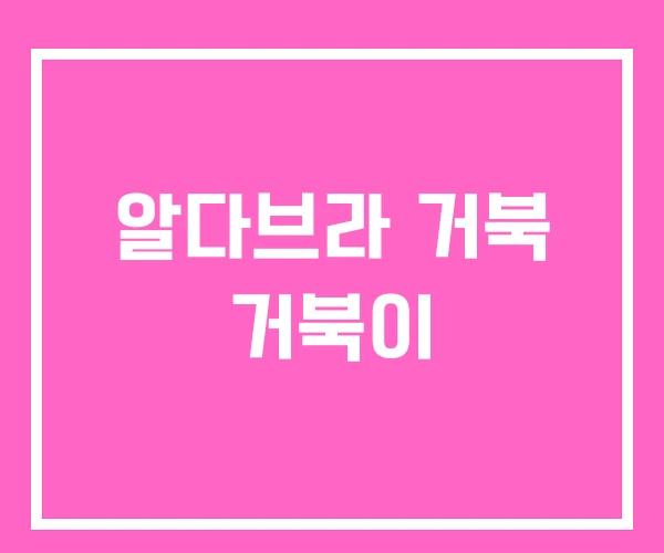 알다브라 거북 거북이