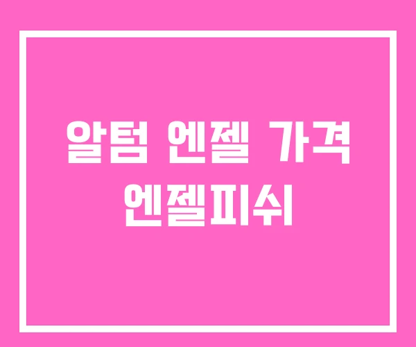 알텀 엔젤 가격 엔젤피쉬