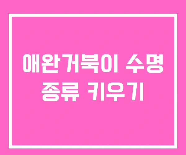 애완거북이 수명 종류 키우기