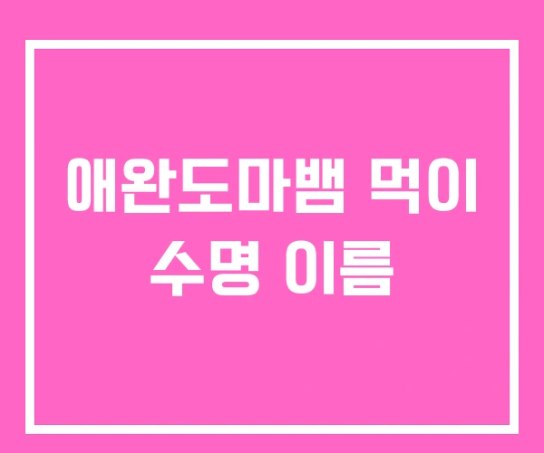 애완도마뱀 먹이 수명 이름