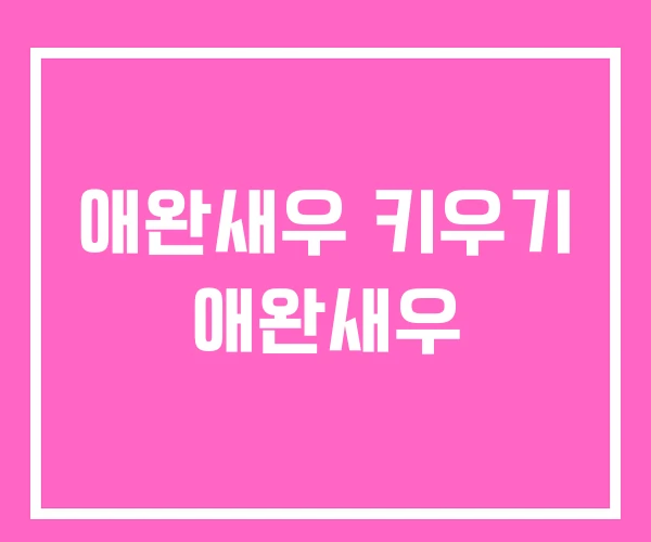 애완새우 키우기 애완새우