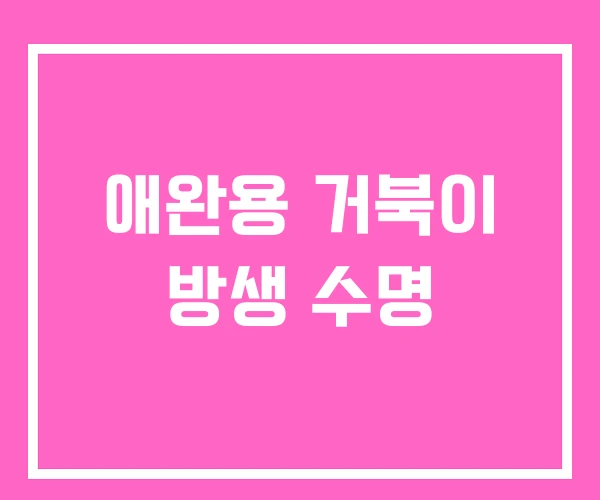 애완용 거북이 방생 수명