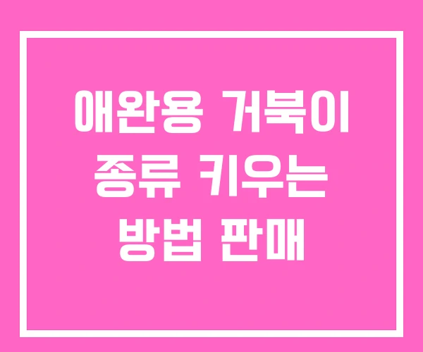 애완용 거북이 종류 키우는 방법 판매