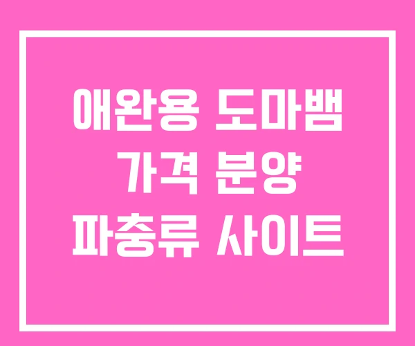 애완용 도마뱀 가격 분양 파충류 사이트