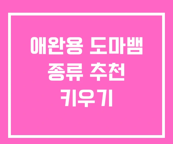 애완용 도마뱀 종류 추천 키우기