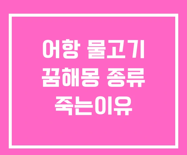 어항 물고기 꿈해몽 종류 죽는이유 어항 물고기 꿈해몽 종류 죽는이유