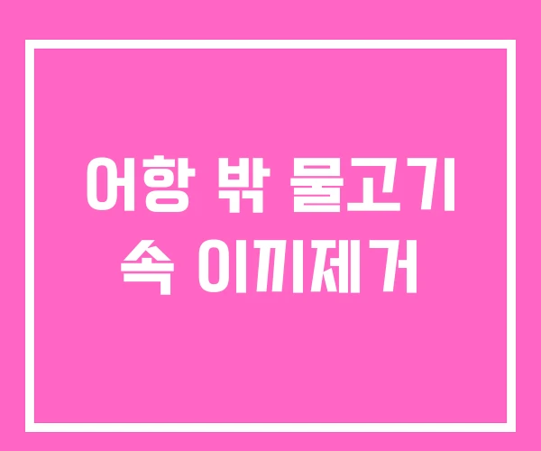 어항 밖 물고기 속 이끼제거 어항 밖 물고기 속 이끼제거