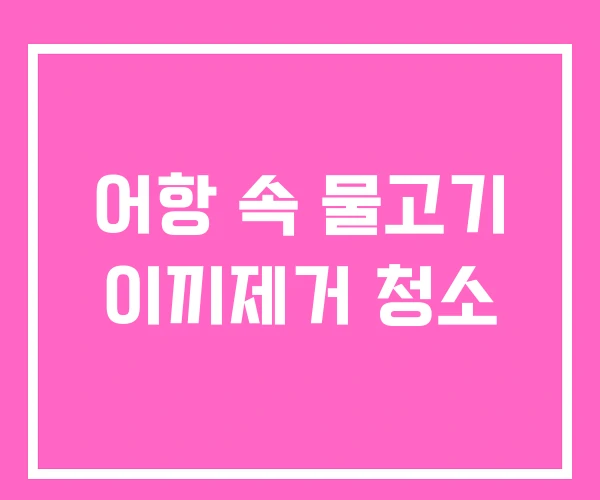 어항 속 물고기 이끼제거 청소