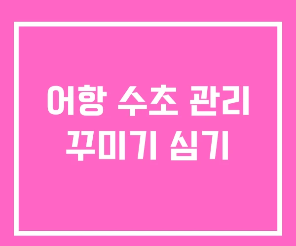 어항 수초 관리 꾸미기 심기