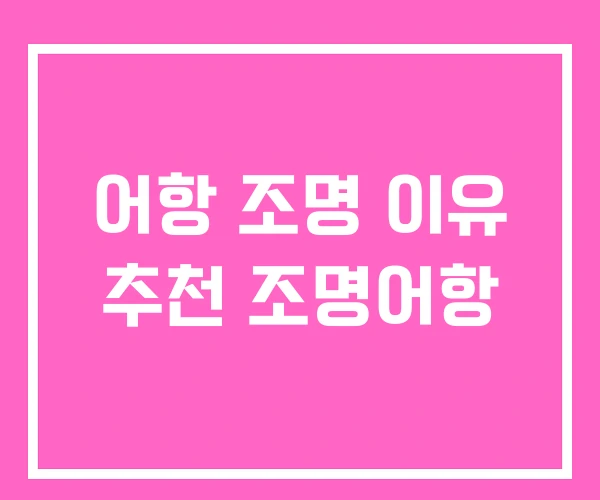 어항 조명 이유 추천 조명어항 어항 조명 이유 추천 조명어항