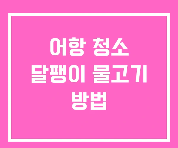 어항 청소 달팽이 물고기 방법 어항 청소 달팽이 물고기 방법