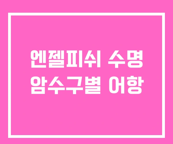 엔젤피쉬 수명 암수구별 어항